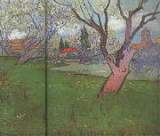 Vincent Van Gogh View of Arles with Trees in Blossom (nn04) France oil painting artist
